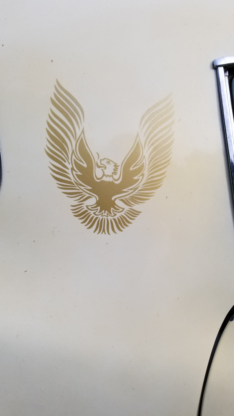 Yup, painted.